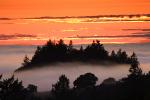 Sunset, Fog, Mystical, Surreal, Sunclipse, Coleman-Valley Road, Sonoma County