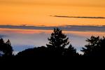 Sunset, Fog, Mystical, Surreal, Twilight, Coleman-Valley Road, Sonoma County, NPND02_173