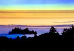 Sunset, Fog, Mystical, Surreal, Twilight, Coleman-Valley Road, Sonoma County, NPND02_174