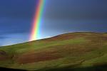 Valley-Ford Rainbow, Sonoma County, NPND02_224