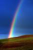 Valley-Ford Rainbow, Sonoma County, NPND02_225