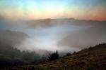 Sunset, Fog, Mystical, Surreal, Twilight, Coleman-Valley Road, Sonoma County, NPND02_242