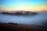 Sunset, Fog, Mystical, Surreal, Twilight, Coleman-Valley Road, Sonoma County, NPND02_246