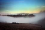 Sunset, Fog, Mystical, Surreal, Twilight, Coleman-Valley Road, Sonoma County, NPND02_247