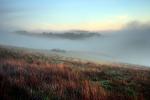 Sunset, Fog, Mystical, Surreal, Twilight, Coleman-Valley Road, Sonoma County, NPND02_248