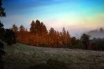 Sunset, Fog, Mystical, Surreal, Twilight, Coleman-Valley Road, Sonoma County, NPND02_250