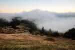 Sunset, Fog, Mystical, Surreal, Twilight, Coleman-Valley Road, Sonoma County, NPND02_252