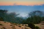 Sunset, Fog, Mystical, Surreal, Twilight, Coleman-Valley Road, Sonoma County, NPND02_253