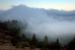 Sunset, Fog, Mystical, Surreal, Twilight, Coleman-Valley Road, Sonoma County, NPND02_254