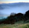 Sunset, Fog, Mystical, Surreal, Twilight, Coleman-Valley Road, Sonoma County, NPND02_255