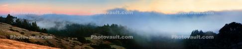 Sunset, Fog, Mystical, Surreal, Twilight, Coleman-Valley Road, Sonoma County, NPND02_258