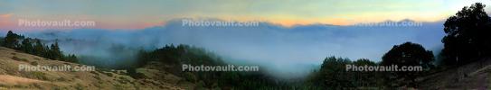 Sunset, Fog, Mystical, Surreal, Twilight, Coleman-Valley Road, Sonoma County, NPND02_259