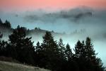 Sunset, Fog, Mystical, Surreal, Twilight, Coleman-Valley Road, Sonoma County, NPND02_260