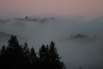 Sunset, Fog, Mystical, Surreal, Twilight, Coleman-Valley Road, Sonoma County, NPND02_261
