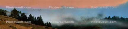 Sunset, Fog, Mystical, Surreal, Twilight, Coleman-Valley Road, Sonoma County, NPND02_262