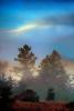 Sunset, Fog, Mystical, Surreal, Twilight, Coleman-Valley Road, Sonoma County, NPND02_263