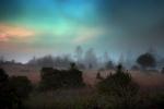 Sunset, Fog, Mystical, Surreal, Twilight, Coleman-Valley Road, Sonoma County