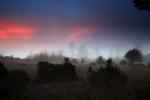 Sunset, Fog, Mystical, Surreal, Twilight, Coleman-Valley Road, Sonoma County, NPND02_265B