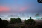 Sunset, Fog, Mystical, Surreal, Twilight, Coleman-Valley Road, Sonoma County, NPND02_266