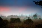 Sunset, Fog, Mystical, Surreal, Twilight, Coleman-Valley Road, Sonoma County, NPND02_267