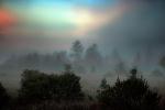 Sunset, Fog, Mystical, Surreal, Twilight, Coleman-Valley Road, Sonoma County, NPND02_269