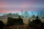 Sunset, Fog, Mystical, Surreal, Twilight, Coleman-Valley Road, Sonoma County, NPND02_270