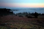Sunset, Fog, Mystical, Surreal, Twilight, Coleman-Valley Road, Sonoma County, NPND02_271