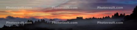 Sunset, Fog, Mystical, Surreal, Coleman-Valley Road, Sonoma County, NPND02_273