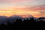 Sunset, Fog, Mystical, Surreal, Coleman-Valley Road, Sonoma County, NPND02_275