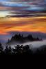 Sunset, Fog, Mystical, Surreal, Coleman-Valley Road, Sonoma County, NPND02_276
