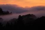 Sunset, Fog, Mystical, Surreal, Coleman-Valley Road, Sonoma County