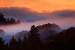 Sunset, Fog, Mystical, Surreal, Coleman-Valley Road, Sonoma County, NPND02_278B