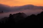 Sunset, Fog, Mystical, Surreal, Coleman-Valley Road, Sonoma County, NPND02_279