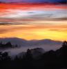 Sunset, Fog, Mystical, Surreal, Coleman-Valley Road, Sonoma County, NPND02_280