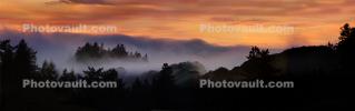 Sunset, Fog, Mystical, Surreal, Coleman-Valley Road, Fog, Sonoma County, NPND02_281