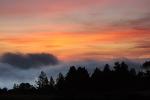 Sunset, Fog, Mystical, Surreal, Coleman-Valley Road, Fog, Sonoma County, NPND02_282