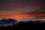 Sunset, Fog, Mystical, Surreal, Coleman-Valley Road, Fog, Sonoma County, NPND02_283