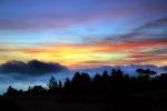 Sunset, Fog, Mystical, Surreal, Coleman-Valley Road, Fog, Sonoma County, NPND02_284