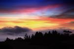 Sunset, Fog, Mystical, Surreal, Coleman-Valley Road, Fog, Sonoma County, NPND02_285