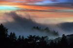 Sunset, Fog, Mystical, Surreal, Coleman-Valley Road, Fog, Sonoma County, NPND02_287
