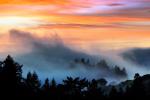 Sunset, Fog, Mystical, Surreal, Coleman-Valley Road, Fog, Sonoma County