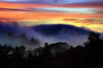Sunset, Fog, Mystical, Surreal, Coleman-Valley Road, Fog, Sonoma County, NPND02_289