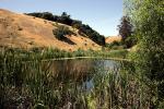 Pond, Hills, Sonoma County