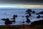 Rocky, Rugged Coastline, Shore, near Bodega Bay, Sonoma County, Coast