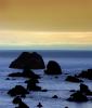 Rocky, Rugged Coastline, Shore, near Bodega Bay, Sonoma County, Coast, NPND03_033