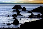 Rocky, Rugged Coastline, Shore, near Bodega Bay, Sonoma County, Coast, NPND03_034
