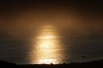 Sunset through the fog, Bodega Bay, Sonoma County, NPND03_036