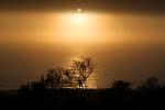 Sun, Fog, Bodega Bay, Sonoma County, NPND03_081