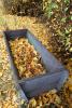 Water Trough full of leaves, autumn, Sonoma County, NPND03_099