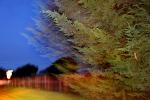 motion blur trees